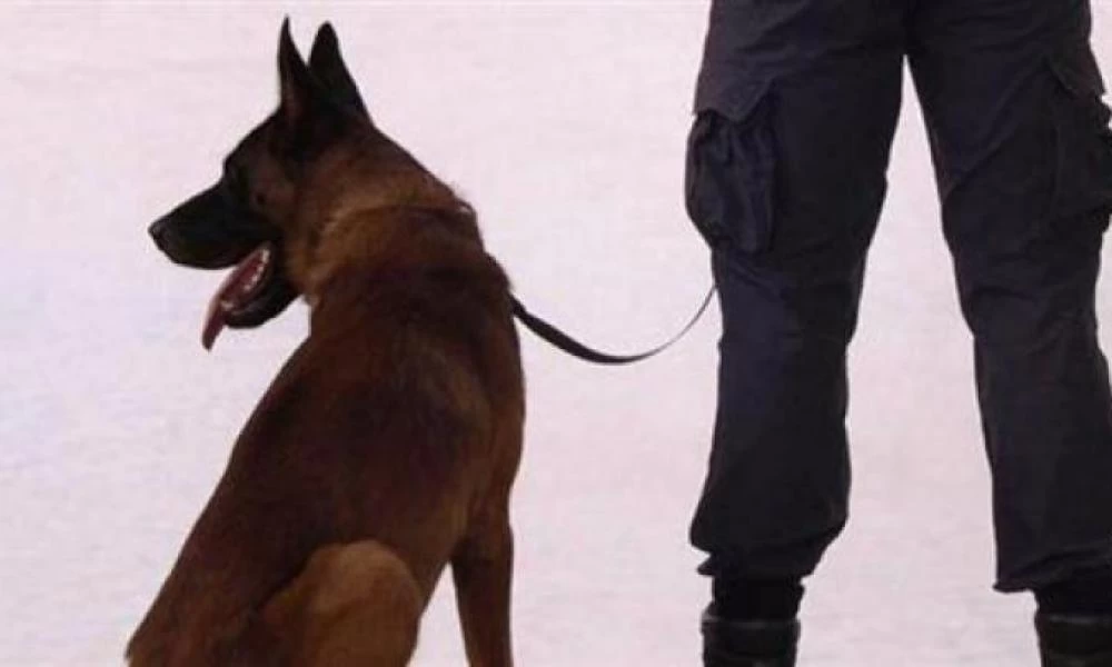 Αστυνομικός σκύλος αποτρέπει ξυλοδαρμό πολίτη δαγκώνοντας τον αστυνομικό